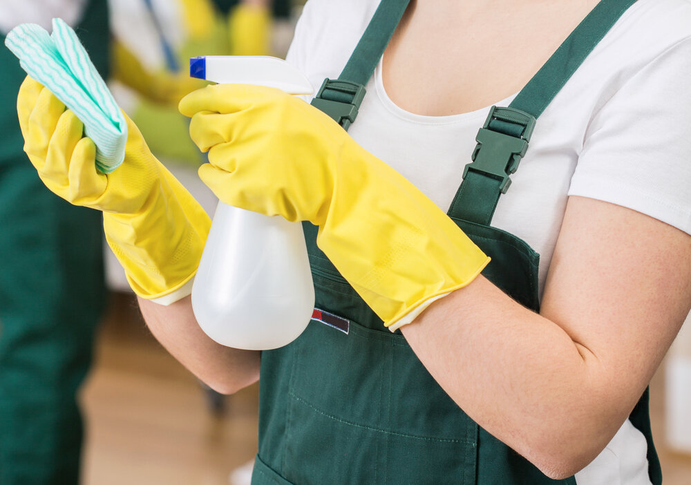 The Importance of Proper Sanitization After Mice Removal 2 Proper sanitization after mice removal. Professional Cleaner Help Clean Your Home Properly.