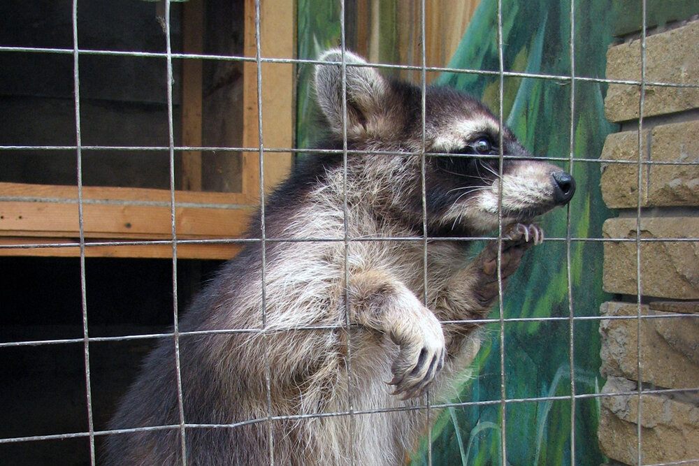 shutterstock 1338395690 1