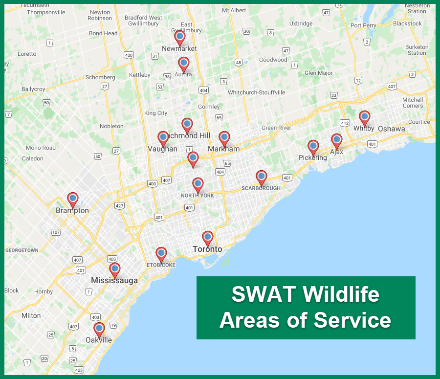 SWAT-Wildlife-Areas-of-Service