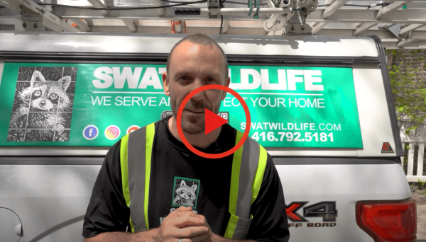 66d3318bd1990-fbutube-video-1