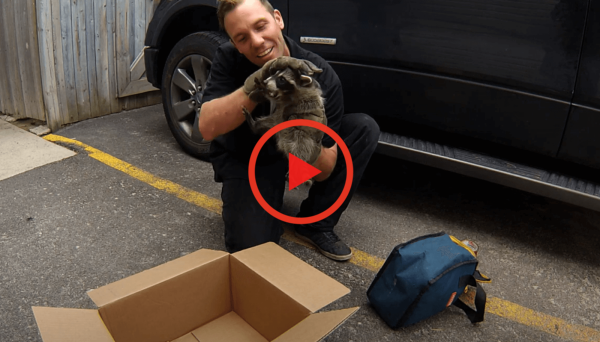 66d3319a5e669-fbutube-video-2