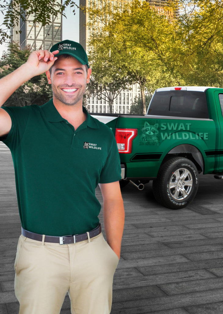 Swat_wildlife_cropped-730x1024