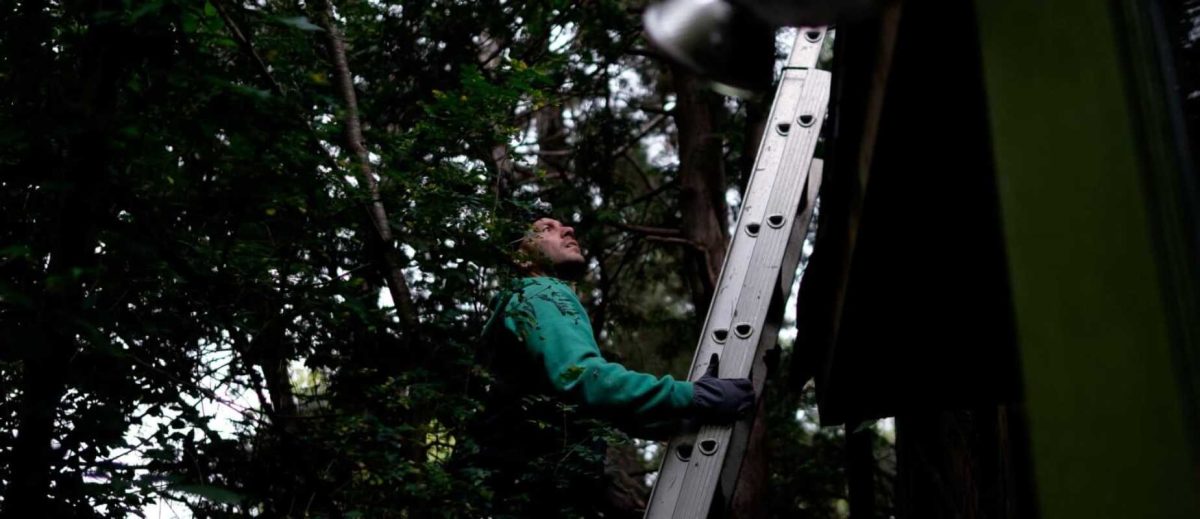 swat wildlife image gallery5