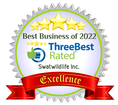 swatwildlifeinc toronto 400