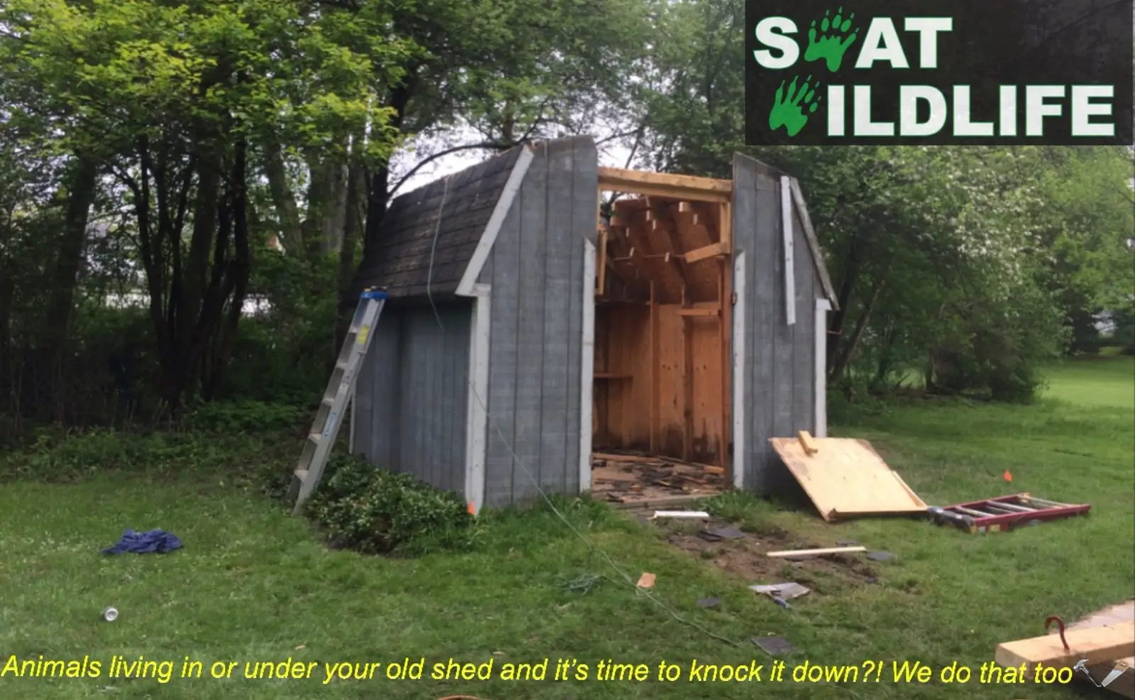 SWAT-wildlife-shed-demolition