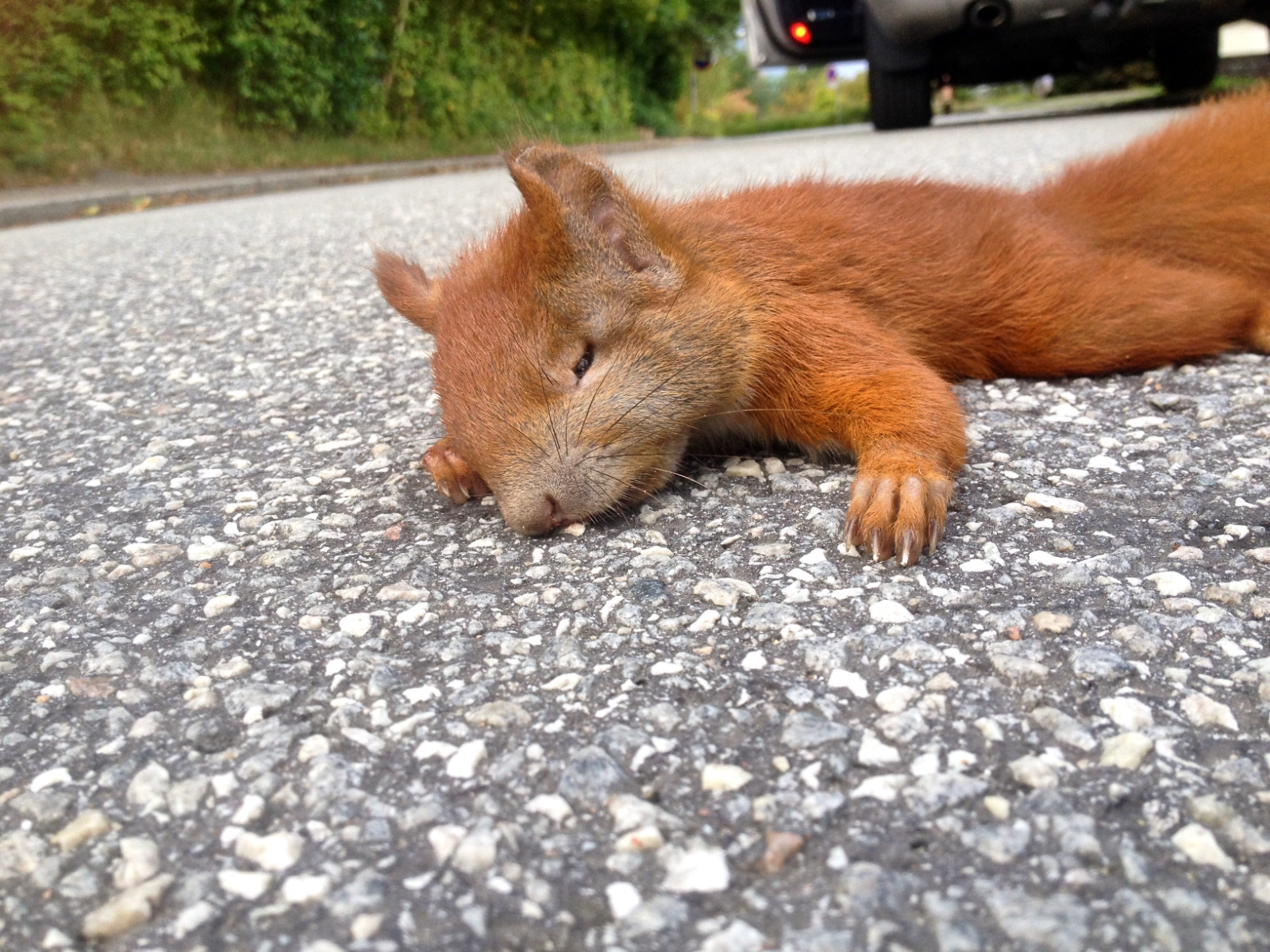 shutterstock_695775058