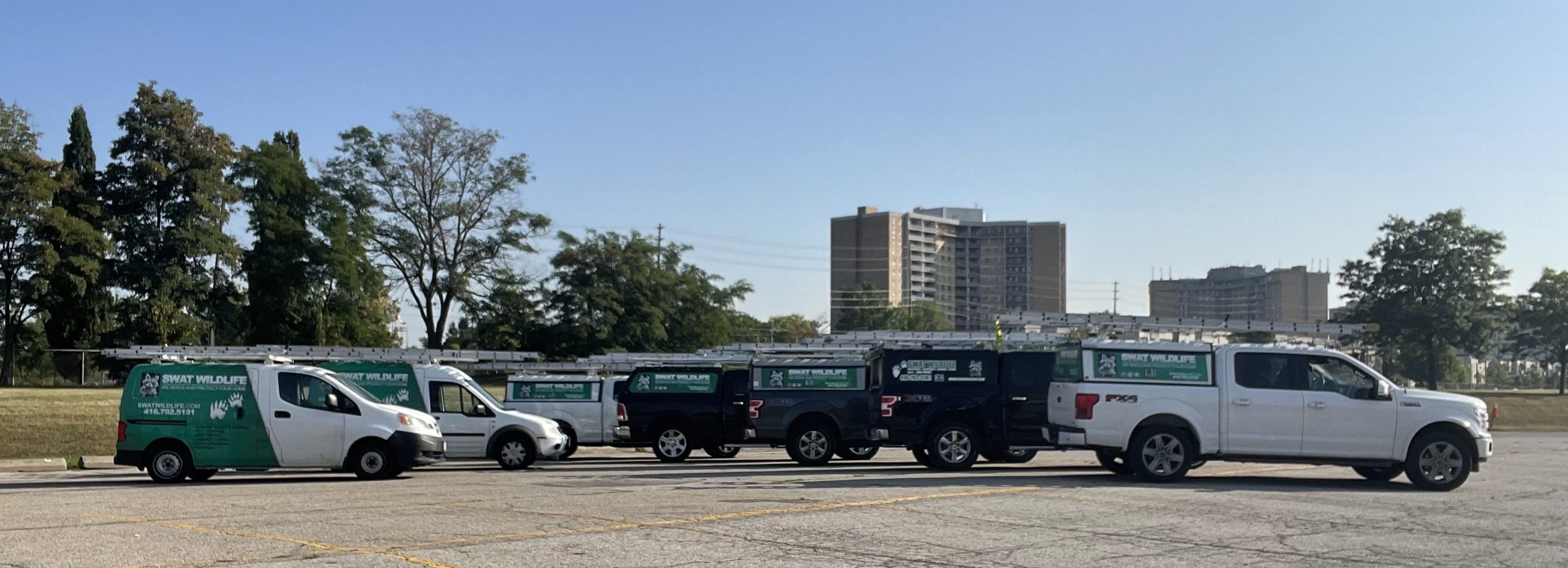 Image of SWAT Wildlife service vehicles.
