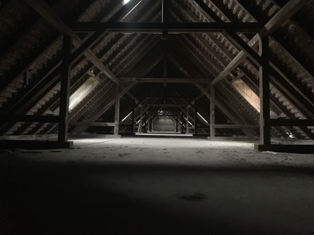 A dark, hollow attic with light creeping in from the windows