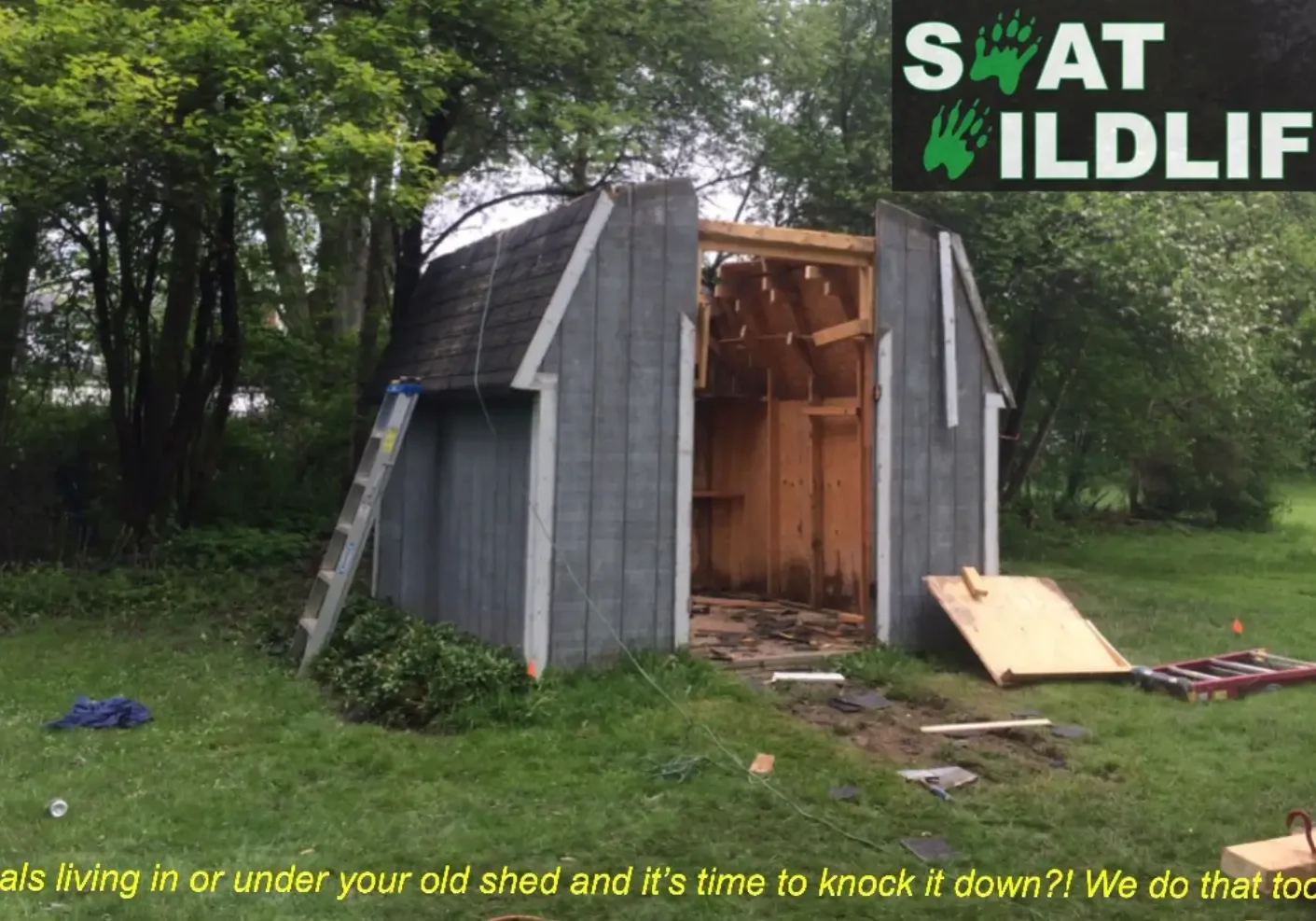 SWAT-wildlife-shed-demolition