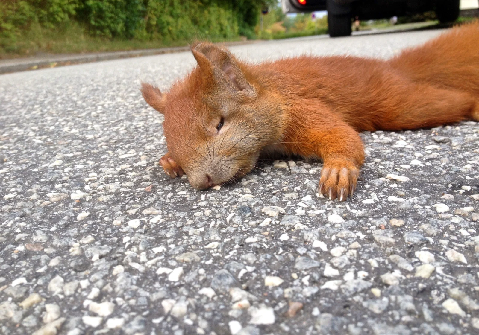 shutterstock_695775058